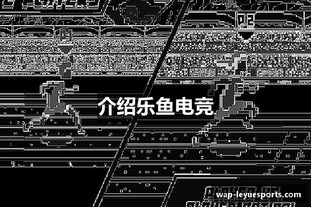 介绍乐鱼电竞
